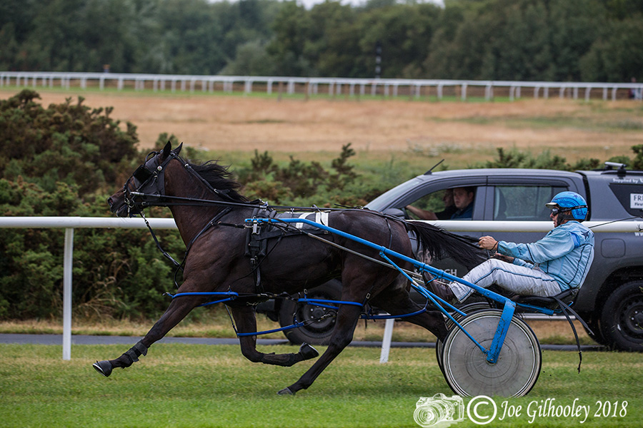 Harness Racing at Musselburgh Racecourse Harness Racing at Musselburgh Racecourse - Fourth race in the rain. Lots of spray from wheels