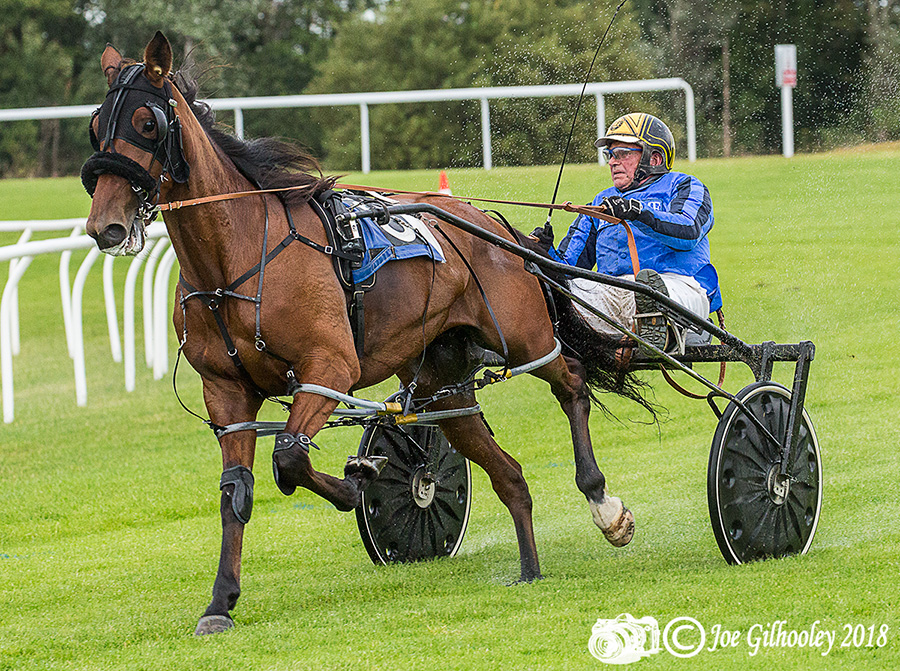 Harness Racing at Musselburgh Racecourse Harness Racing at Musselburgh Racecourse - Fifth race in the rain. Lots of spray from wheels