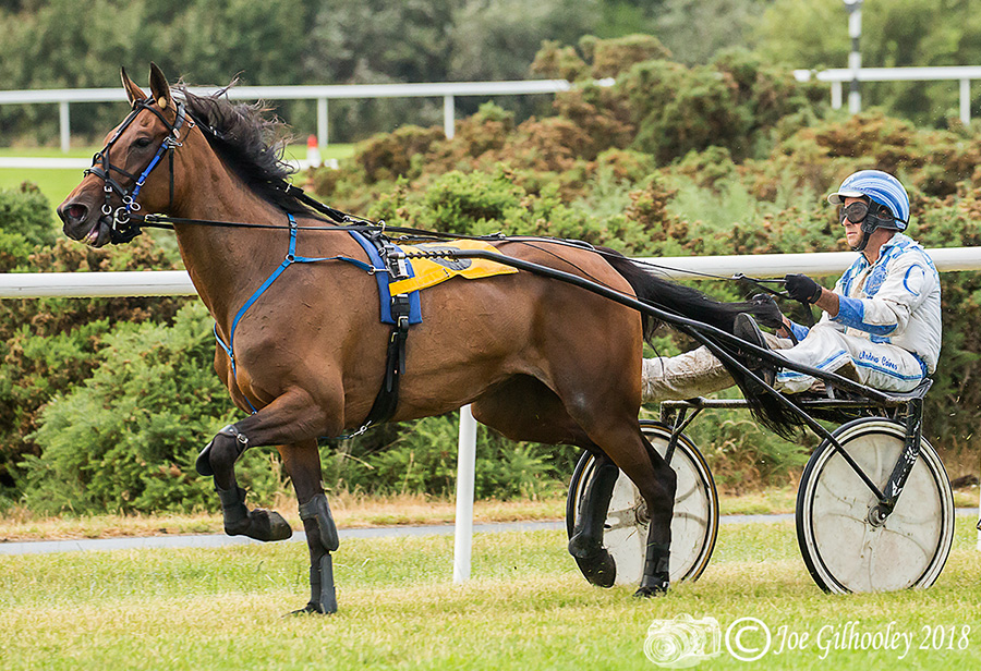 Harness Racing at Musselburgh Racecourse Harness Racing at Musselburgh Racecourse - Sixth race in the rain.