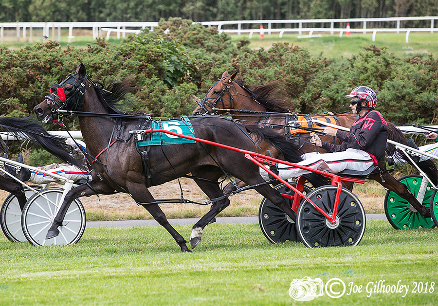 Harness Racing at Musselburgh Racecourse Harness Racing at Musselburgh Racecourse - First race