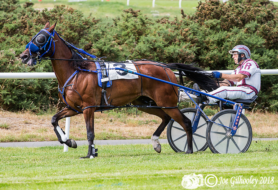 Harness Racing at Musselburgh Racecourse Harness Racing at Musselburgh Racecourse - Fourth race
