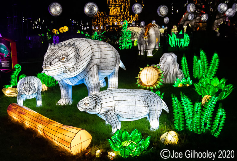 Gaint Lanterns Edinburgh Zoo