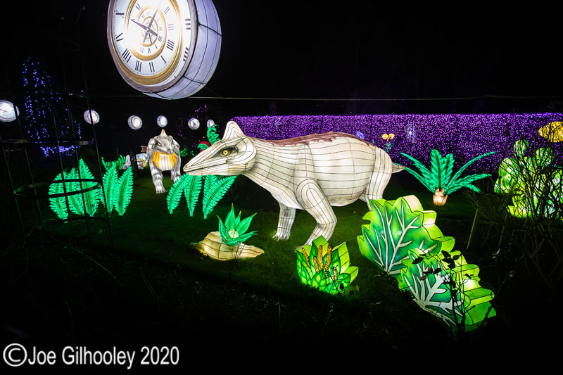Gaint Lanterns Edinburgh Zoo