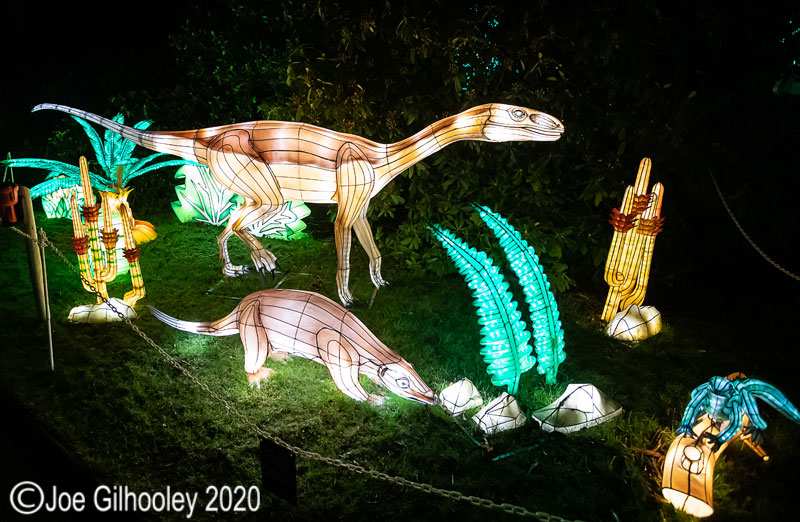 Gaint Lanterns Edinburgh Zoo