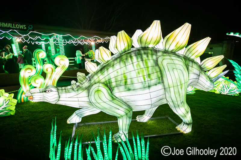 Gaint Lanterns Edinburgh Zoo