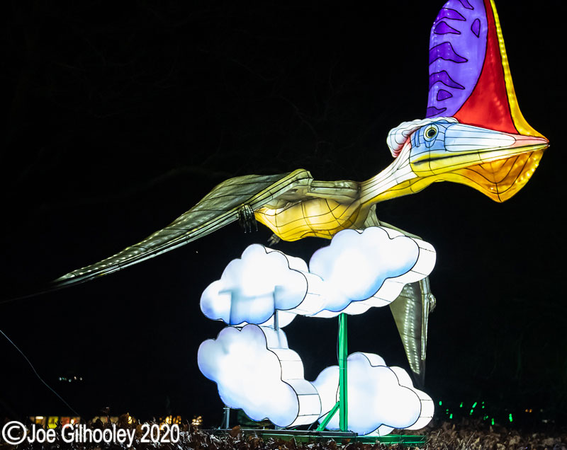 Gaint Lanterns Edinburgh Zoo