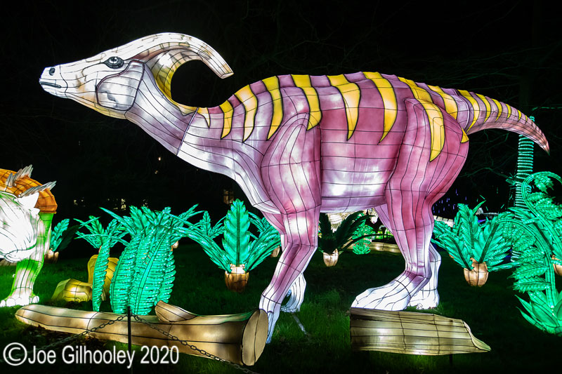 Gaint Lanterns Edinburgh Zoo