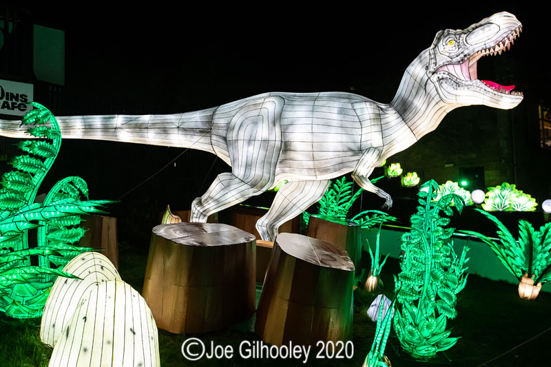 Gaint Lanterns Edinburgh Zoo