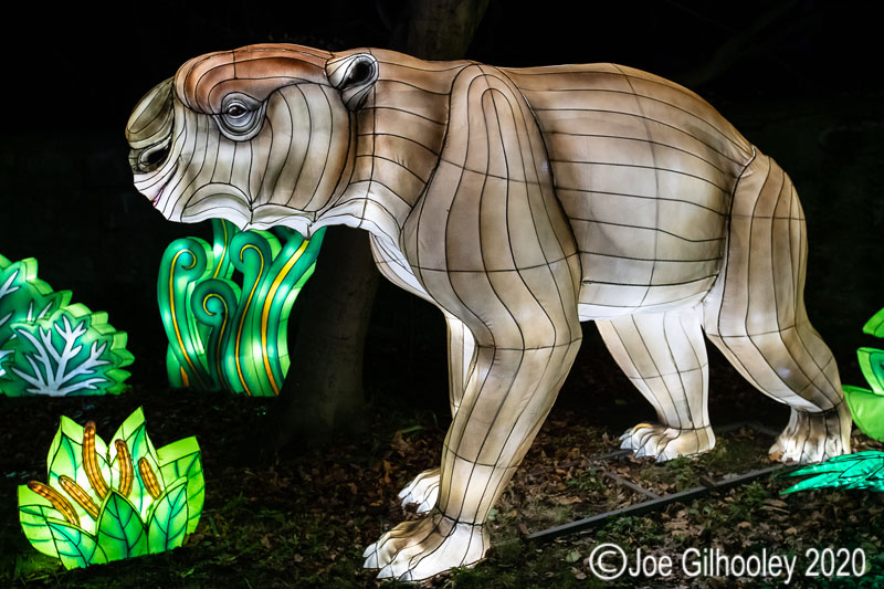 Gaint Lanterns Edinburgh Zoo