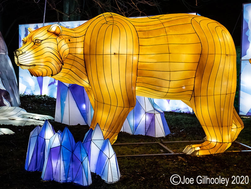Gaint Lanterns Edinburgh Zoo