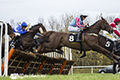 Musselburgh Horseracing 7th November 2018