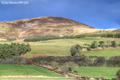 Pentland Hills 19th Jnuary 2022