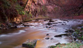 River Esk Powdermill walkway - 11th Nov 2013