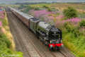 Tornado 60163 Steam Train 31st July 2021