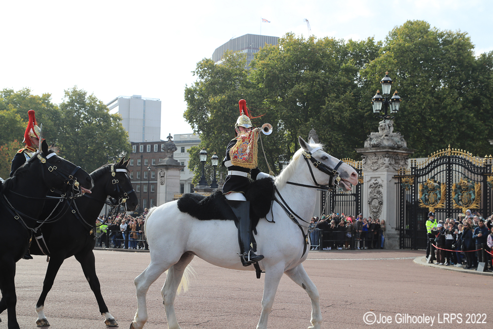 Buckingham Palace