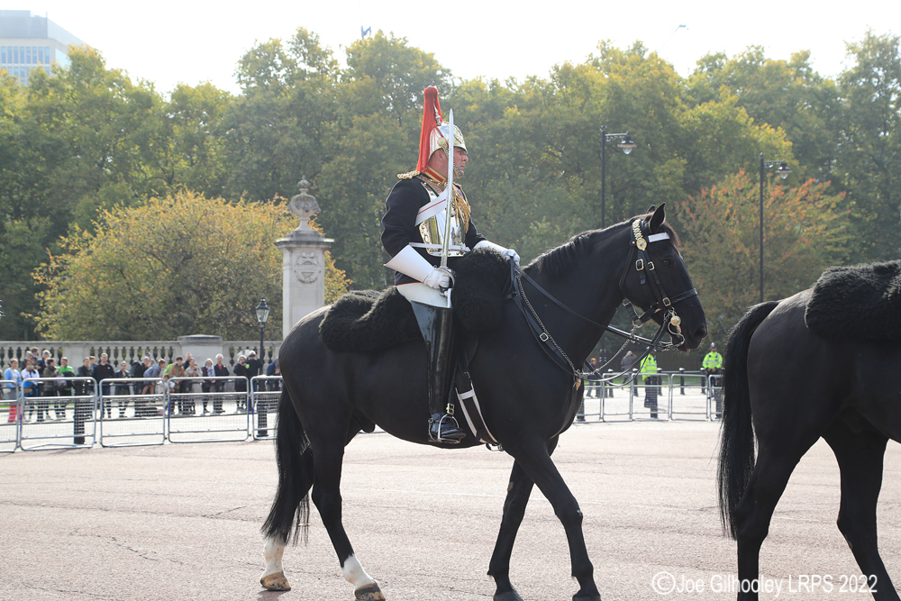 Buckingham Palace