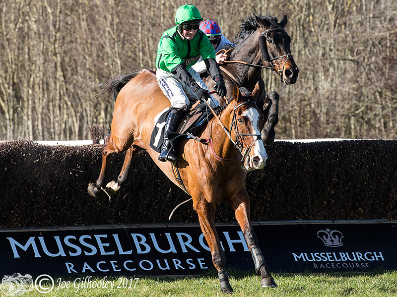 Musselburgh Races - Jumps Meeting