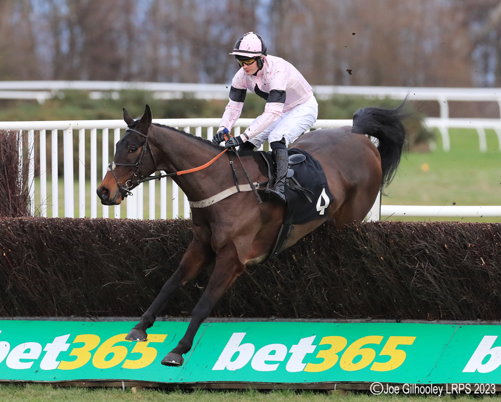 Musselburgh Horseracing - Jumps Meeting

