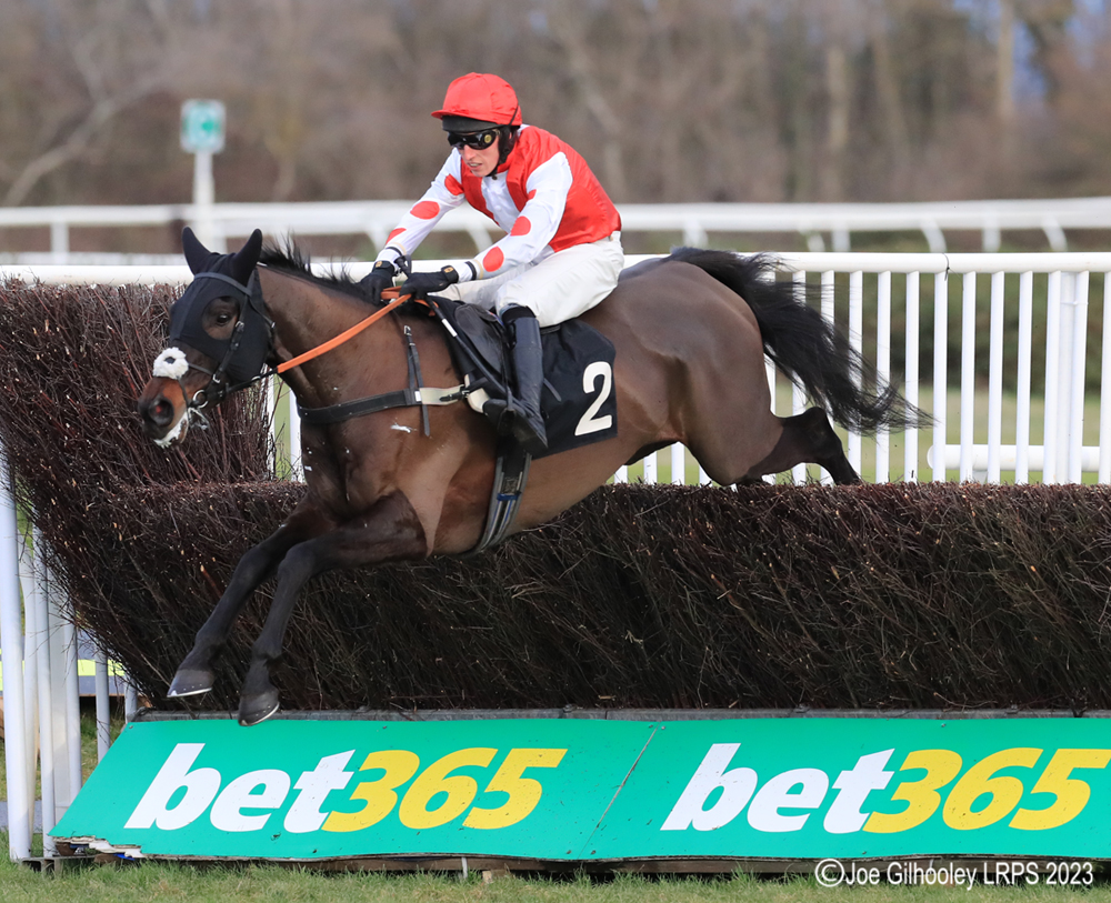 Musselburgh Horseracing - Jumps Meeting

