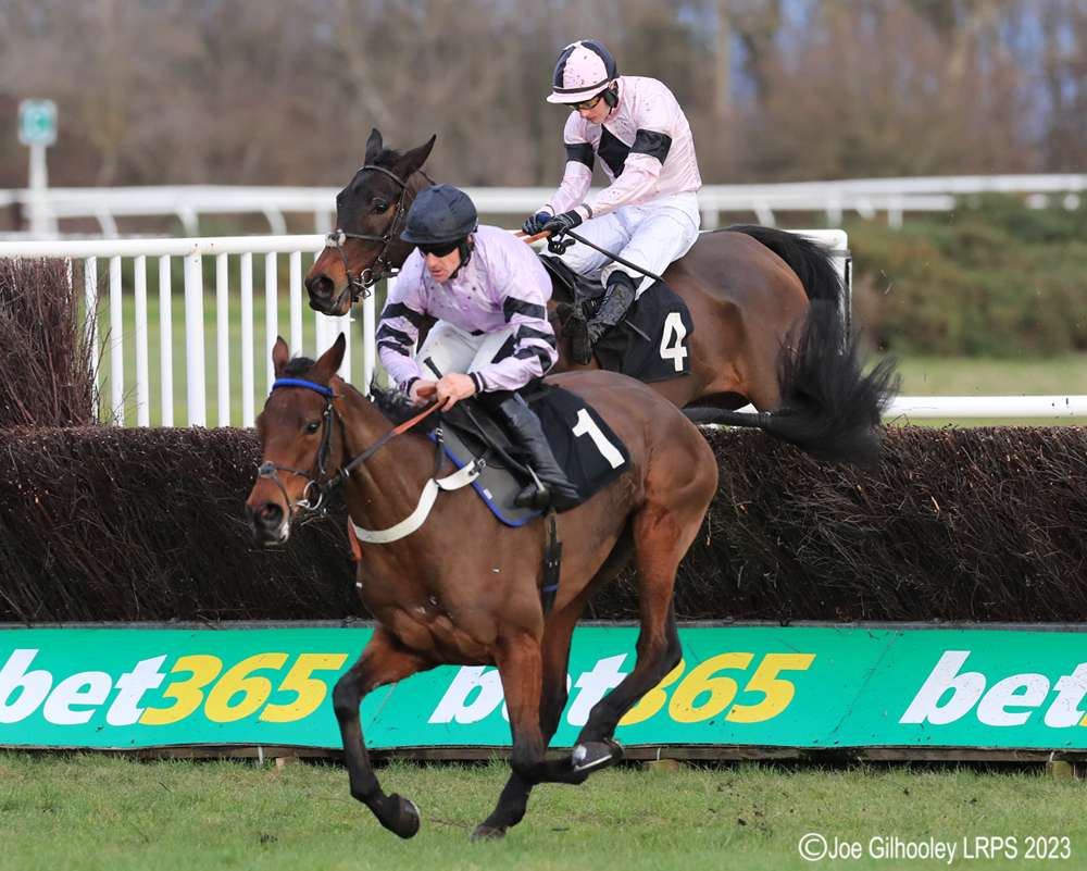 Musselburgh Horseracing - Jumps Meeting

