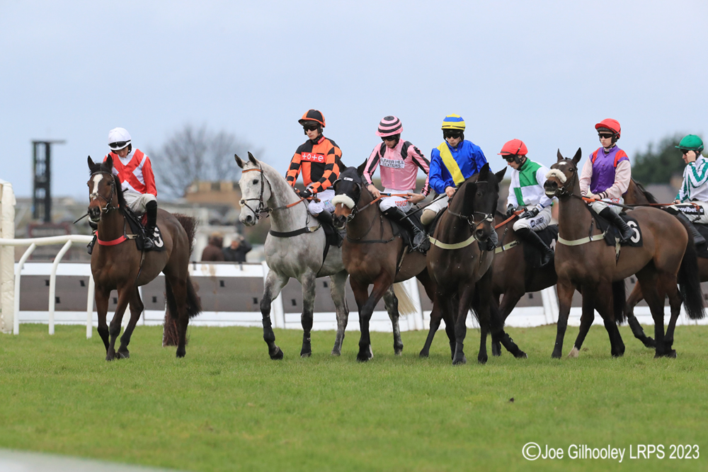 Musselburgh Horseracing - Jumps Meeting

