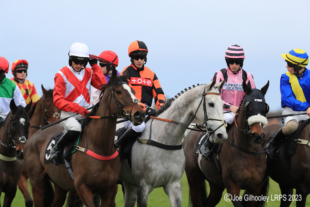 Musselburgh Horseracing - Jumps Meeting

