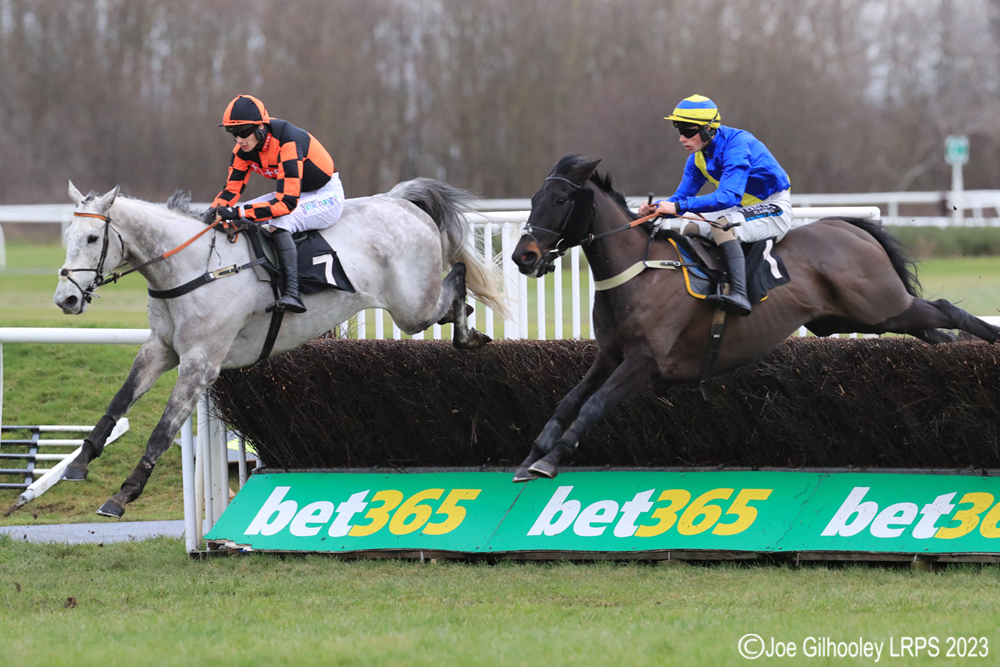 Musselburgh Horseracing - Jumps Meeting


