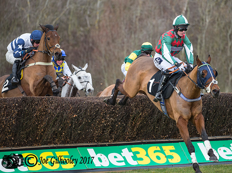 Musselburgh Races - Scottish Cheltenham Trials Musselburgh Races - Scottish Cheltenham Trials