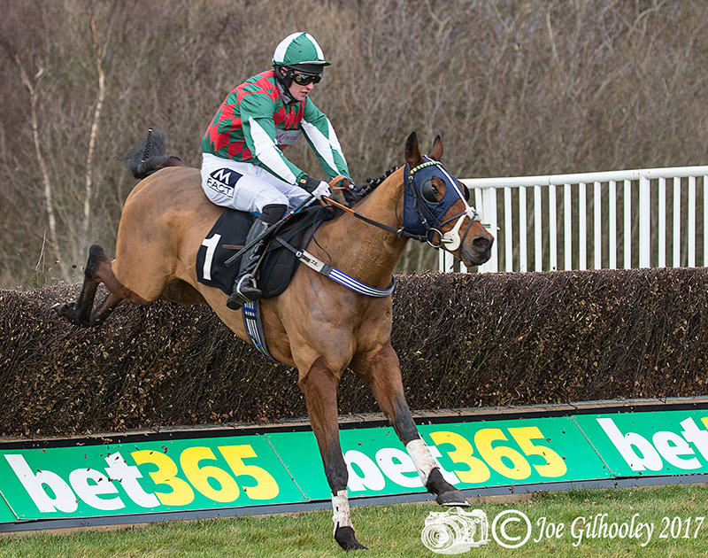 Musselburgh Races - Scottish Cheltenham Trials Musselburgh Races - Scottish Cheltenham Trials