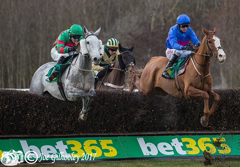 Musselburgh Races - Scottish Cheltenham Trials Musselburgh Races - Scottish Cheltenham Trials