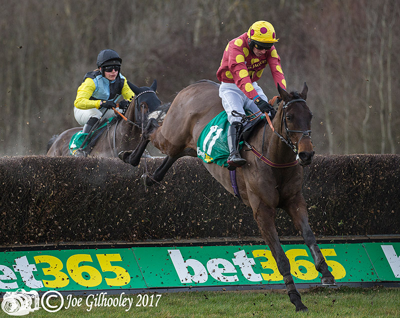 Musselburgh Races - Scottish Cheltenham Trials Musselburgh Races - Scottish Cheltenham Trials