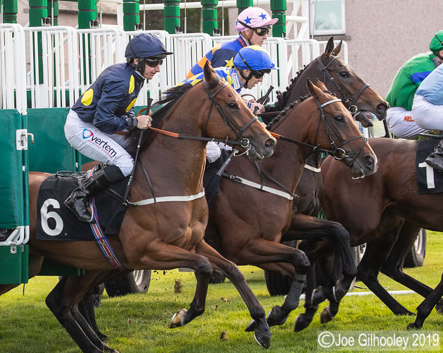 Musselburgh Racing