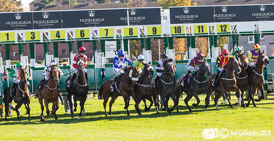 Musselburgh Racing 