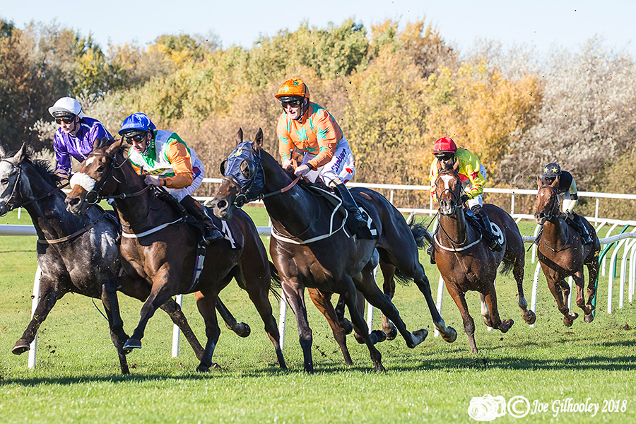 Musselburgh Racing 