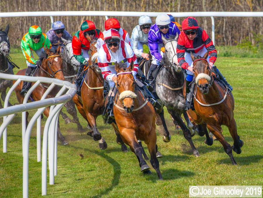Musselburgh Horse Racing