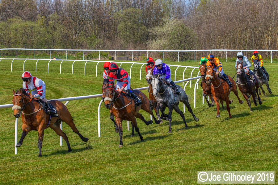 Musselburgh Horse Racing
