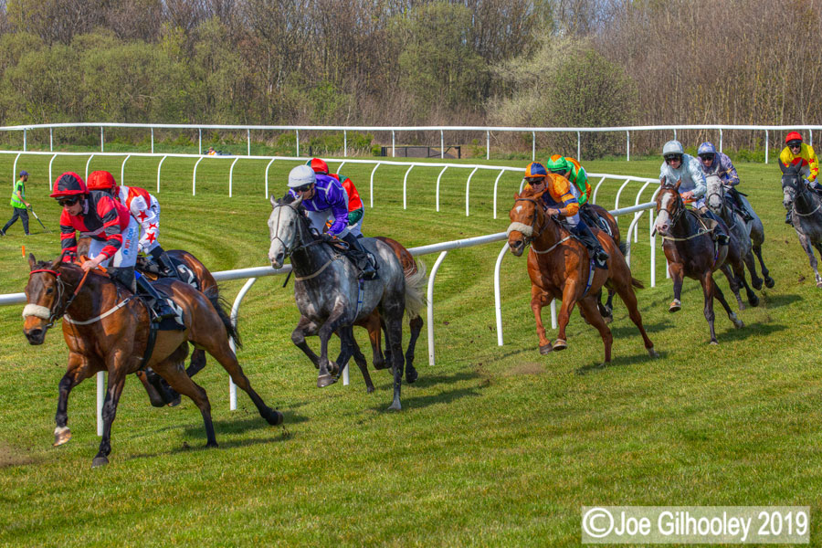 Musselburgh Horse Racing