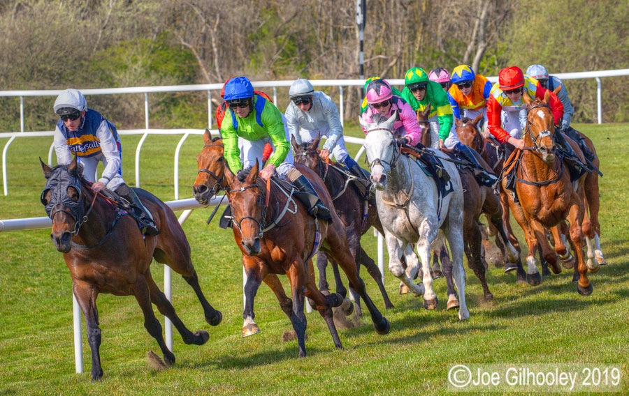 Musselburgh Horse Racing