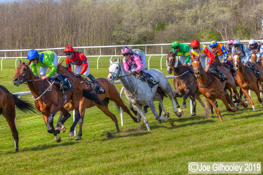 Musselburgh Horse Racing
