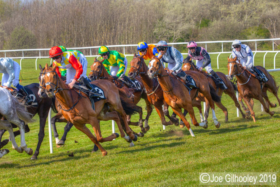 Musselburgh Horse Racing