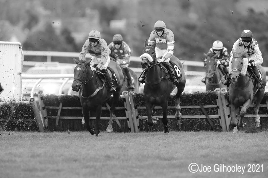 Musselburgh Races - Jumps Meeting
