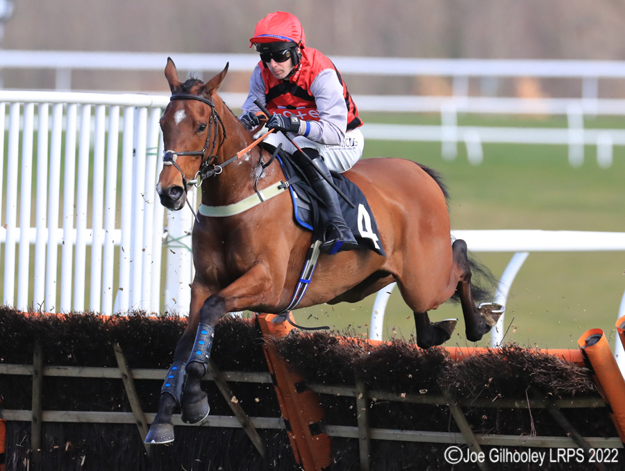 Musselburgh Horse Racing - Jumps Meeting