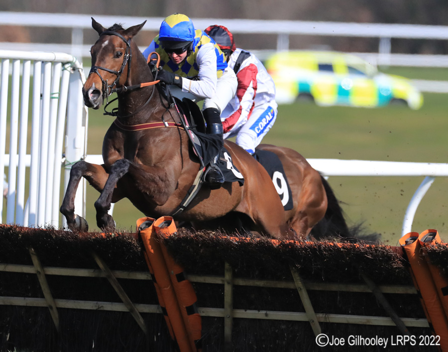 Musselburgh Horse Racing - Jumps Meeting