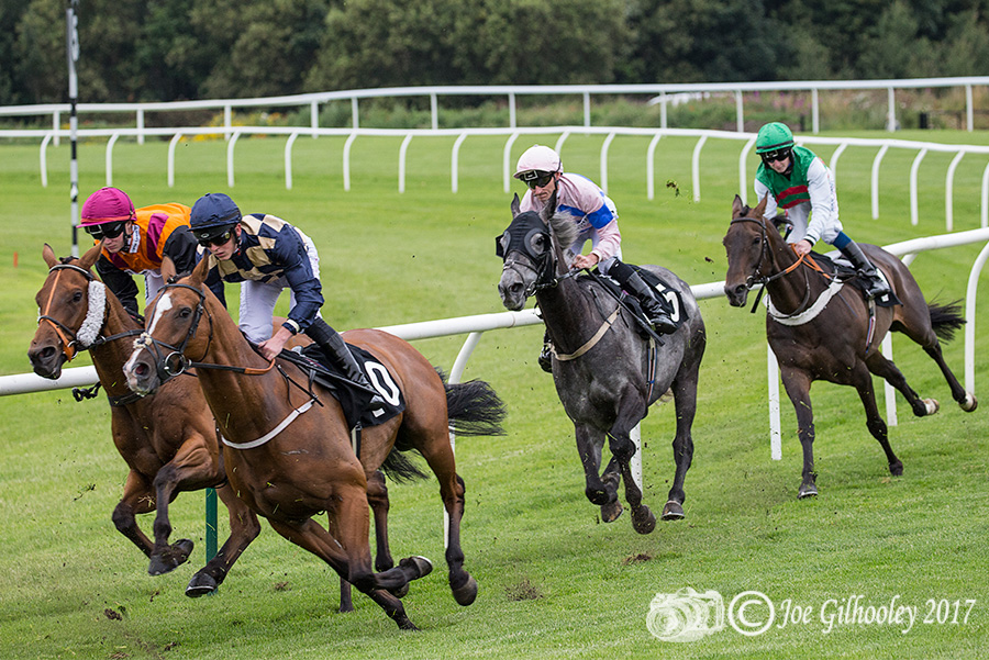 Musselburgh Horse Racing