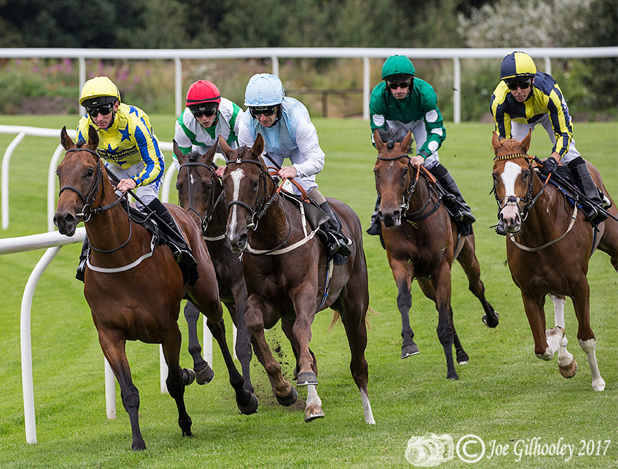Musselburgh Horse Racing