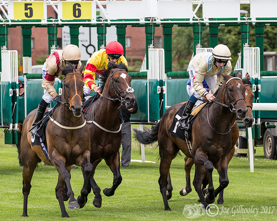 Musselburgh Horse Racing