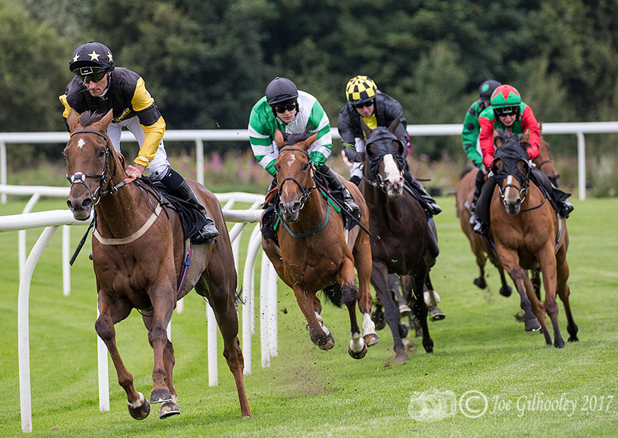 Musselburgh Horse Racing