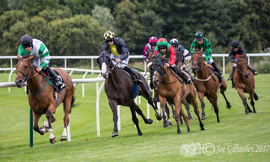 Musselburgh Horse Racing