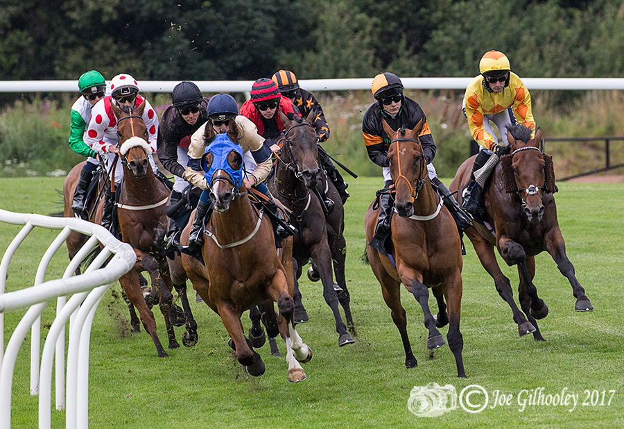 Musselburgh Horse Racing