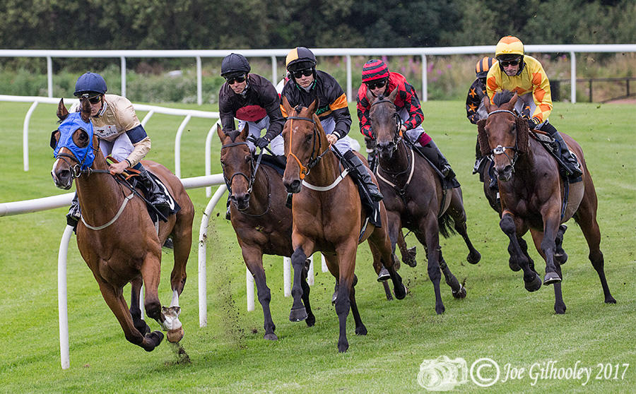 Musselburgh Horse Racing